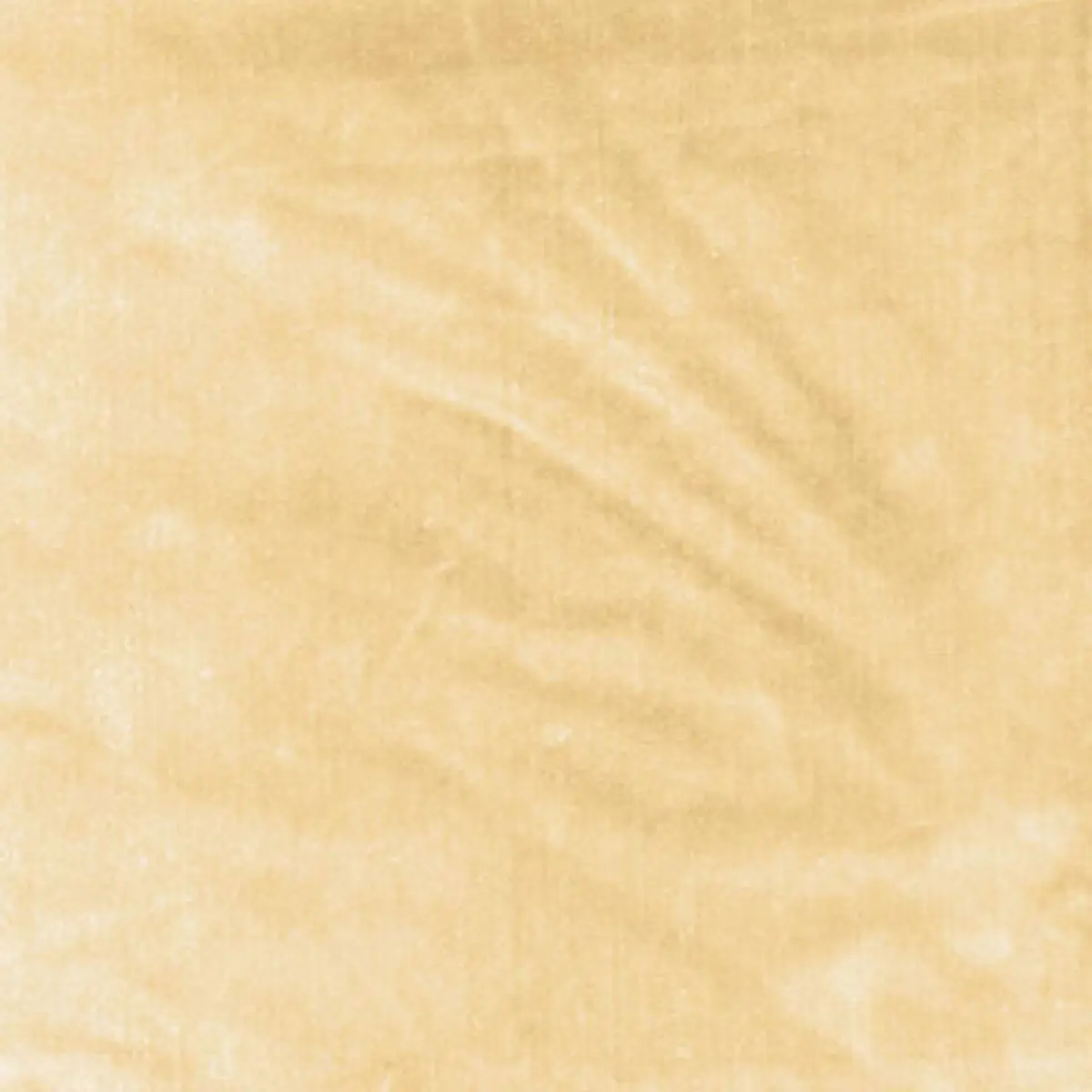 VENETIAN SILK VELVET_ CHAMPAGNE