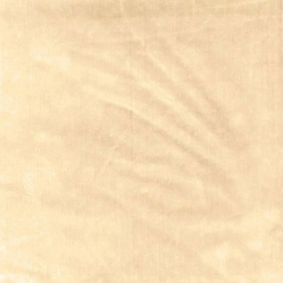 VENETIAN SILK VELVET_ DOESKIN