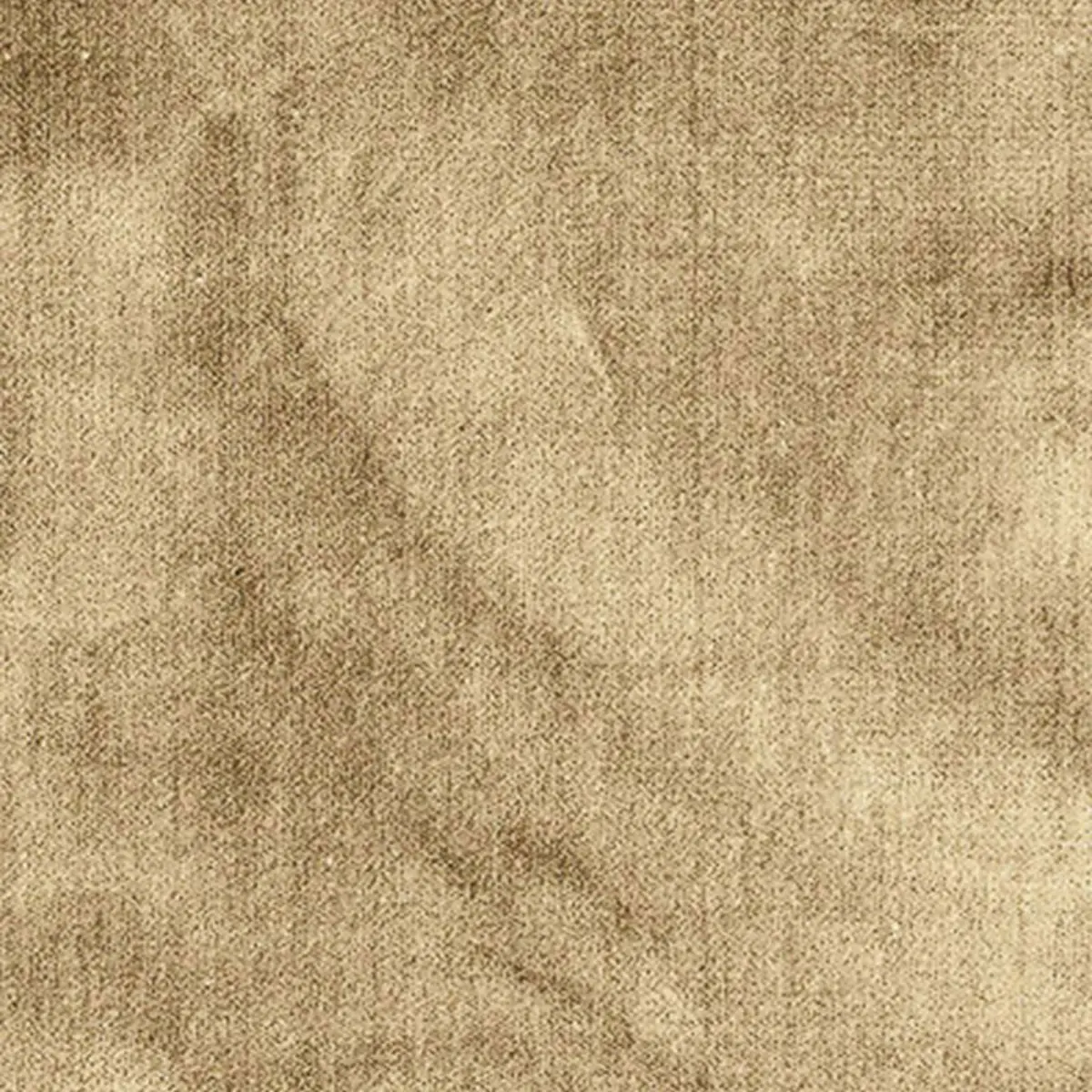 VENETIAN SILK VELVET_ CHANTERELLE