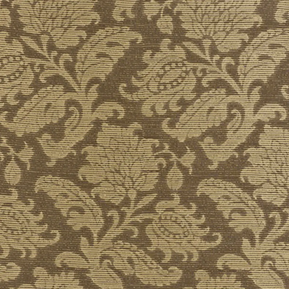 MONTEGO DAMASK_ JAVA