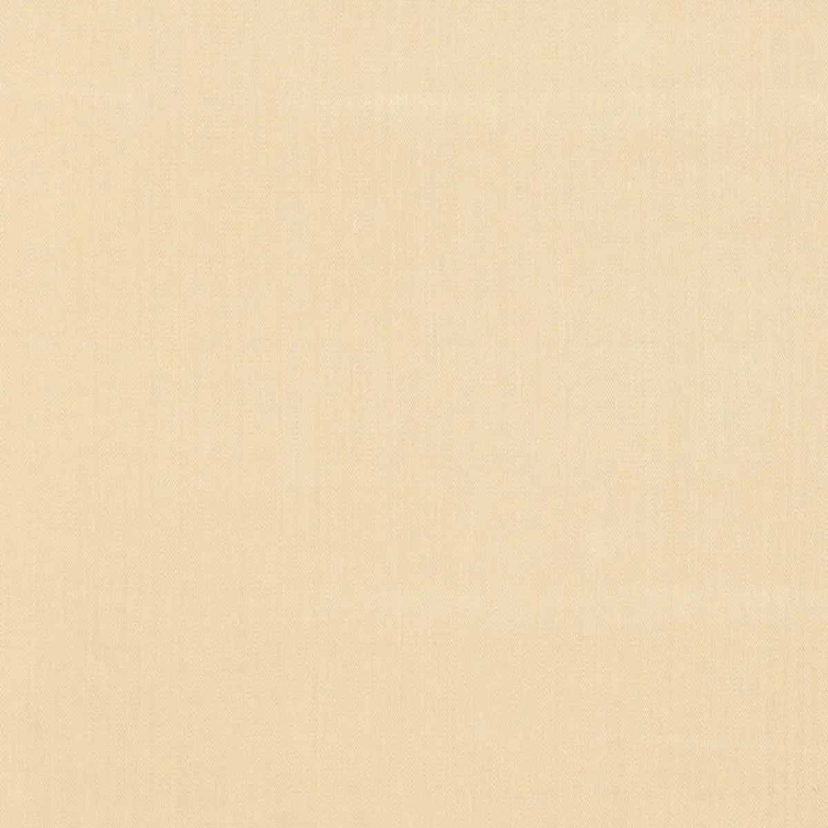 BEDFORD HERRINGBONE PLAIN_ IVORY
