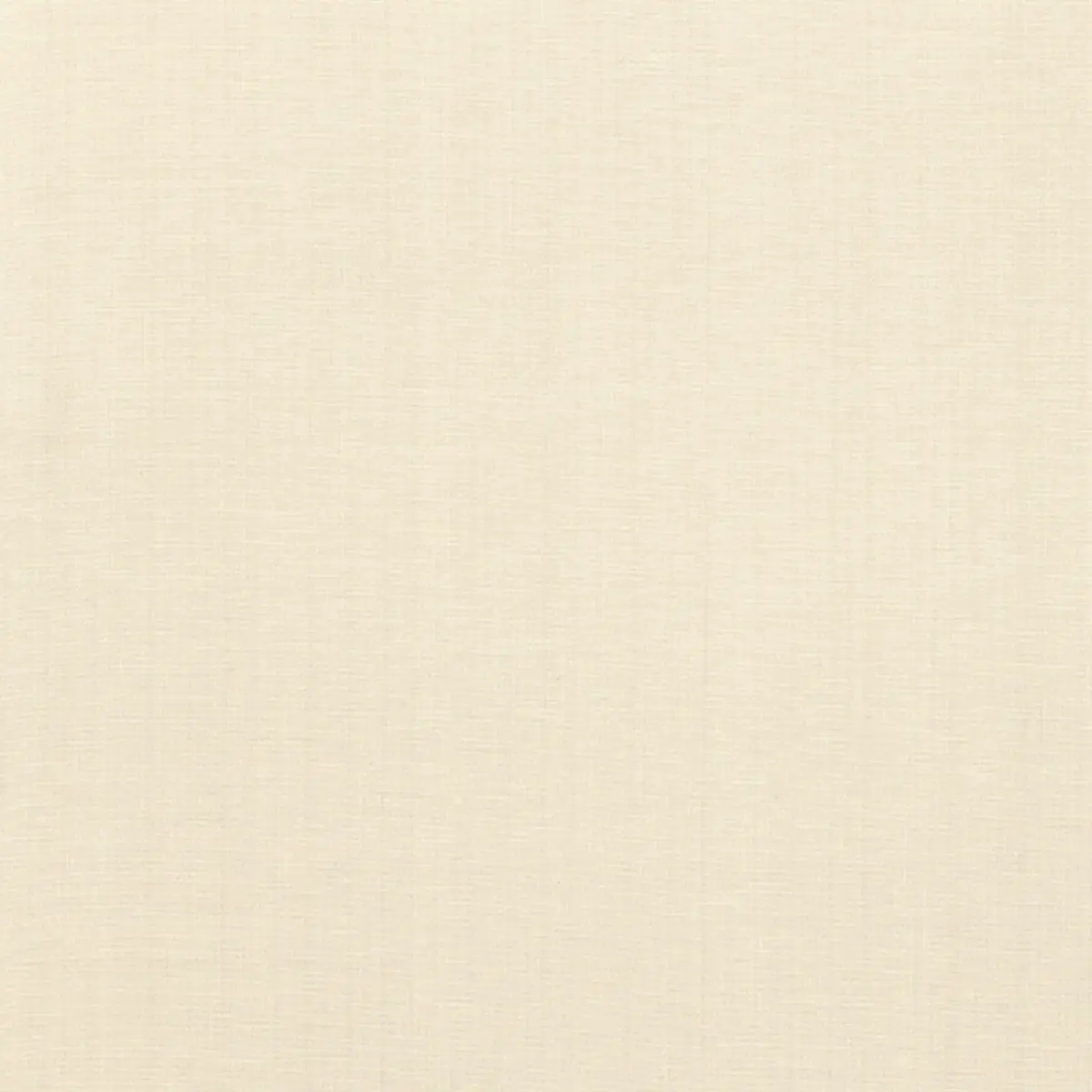 AVERY COTTON PLAIN_ IVORY