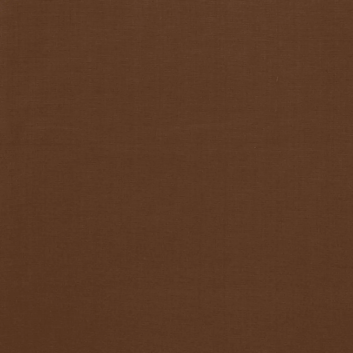 AVERY COTTON PLAIN_ JAVA