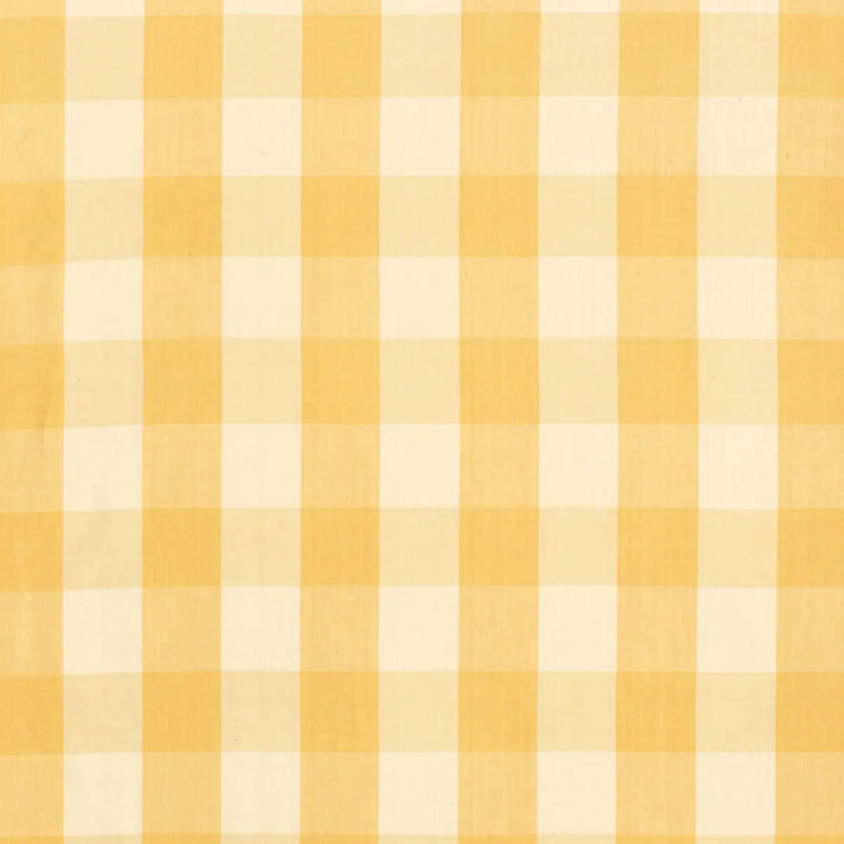 CAMDEN COTTON CHECK_ STRAW