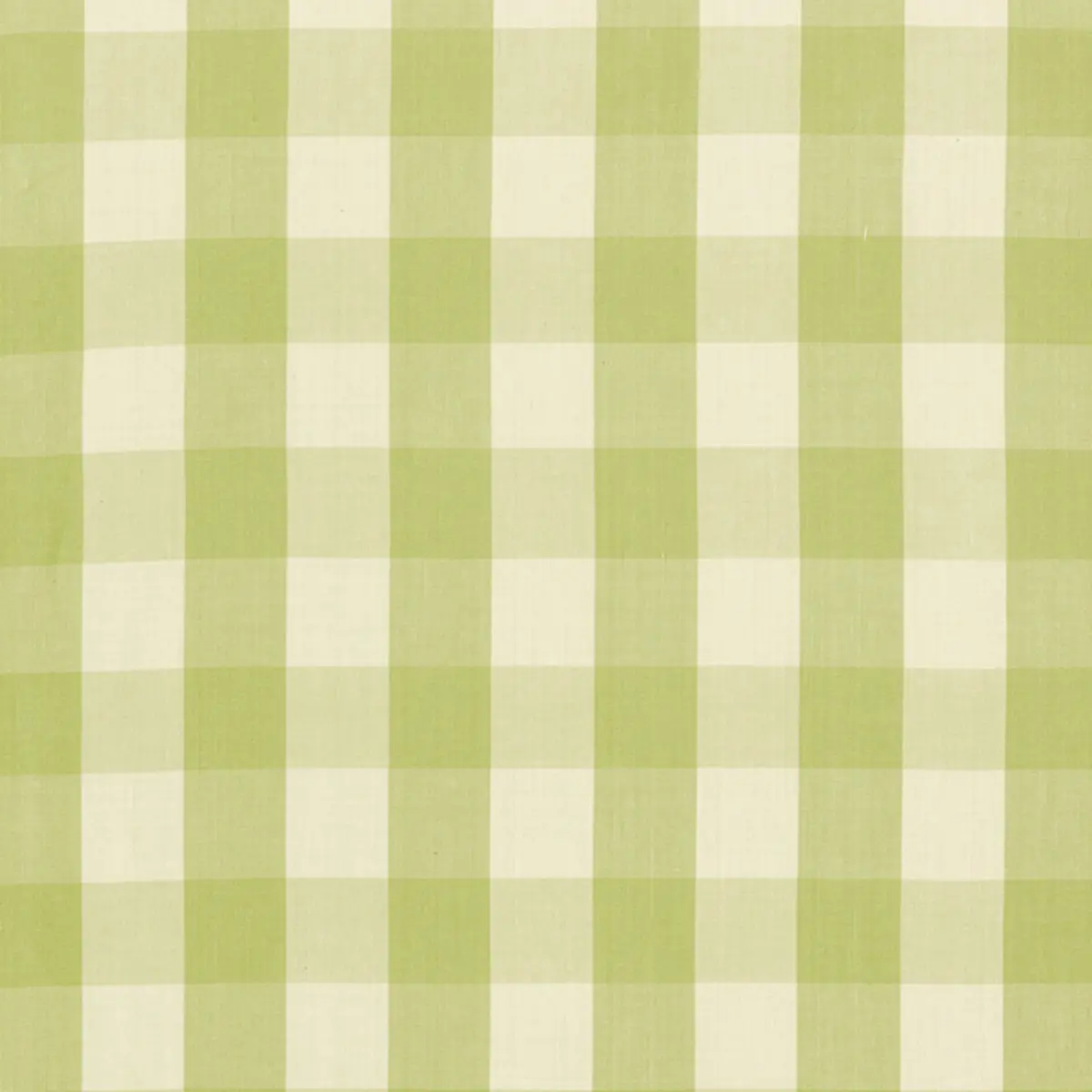 CAMDEN COTTON CHECK_ SAGE
