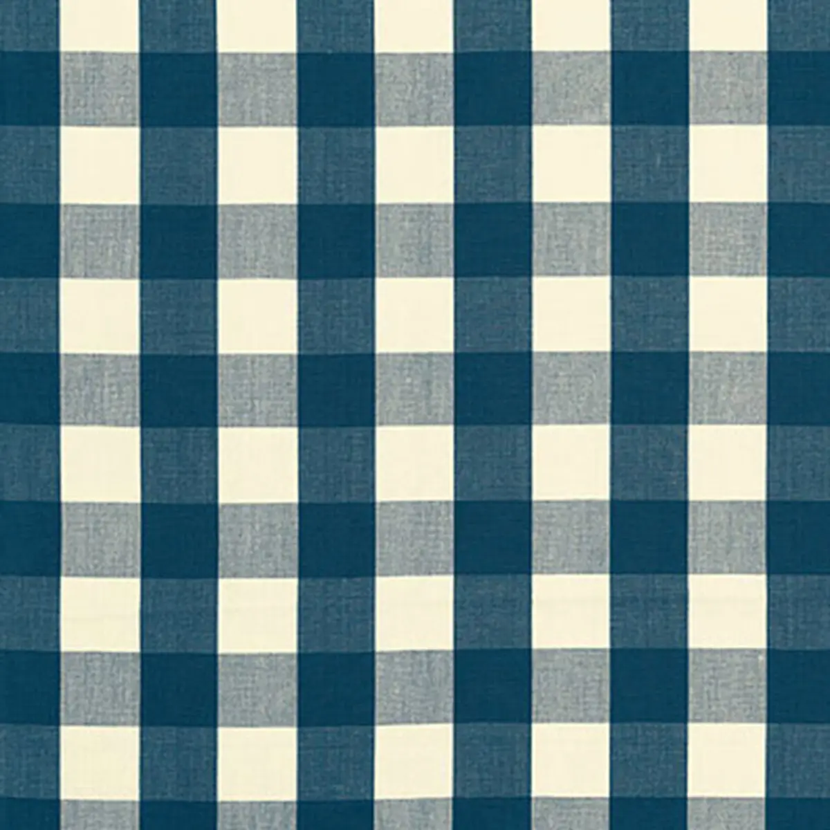 CAMDEN COTTON CHECK_ INDIGO