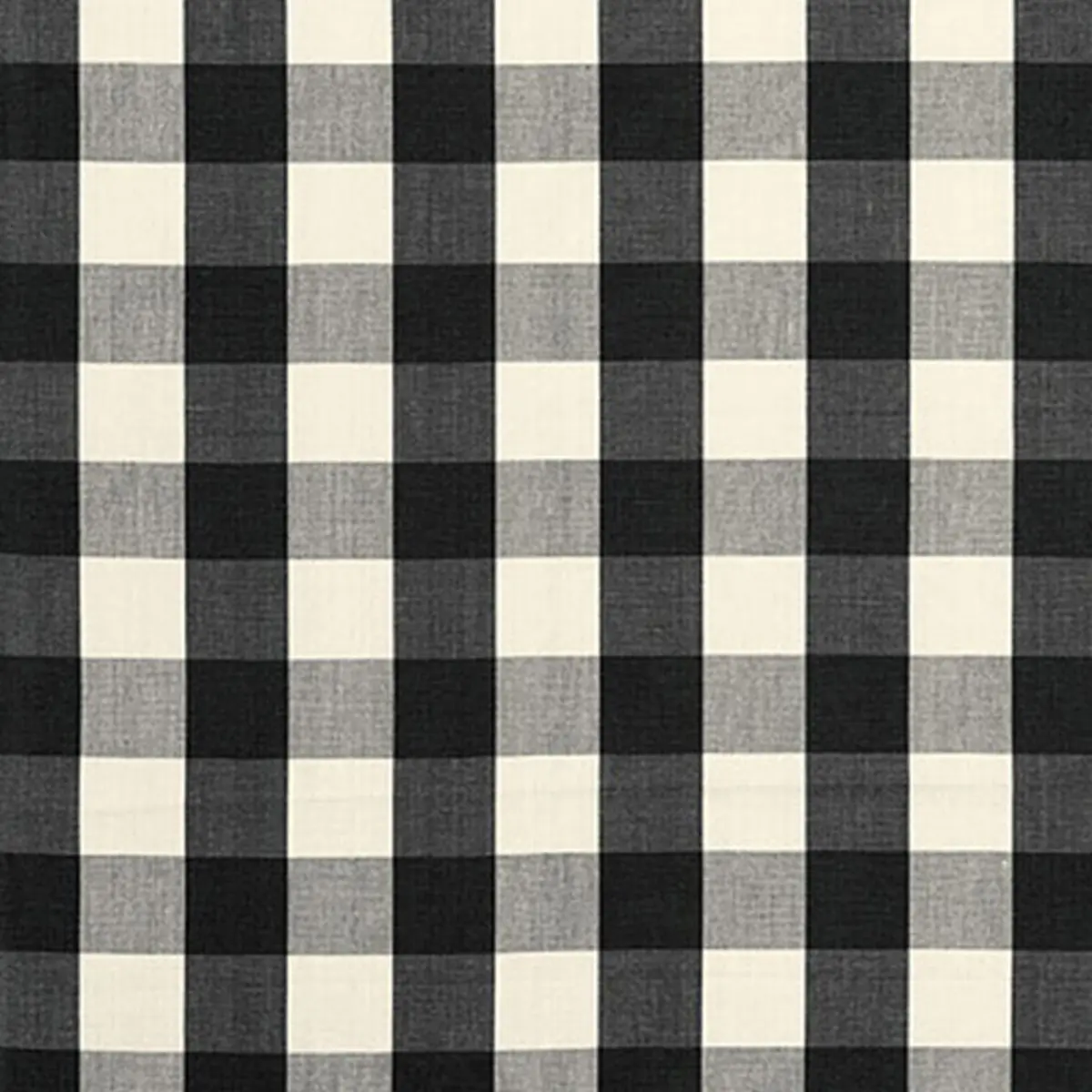 CAMDEN COTTON CHECK_ EBONY