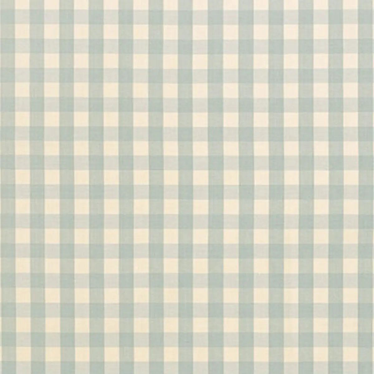ELTON COTTON CHECK_ AQUA