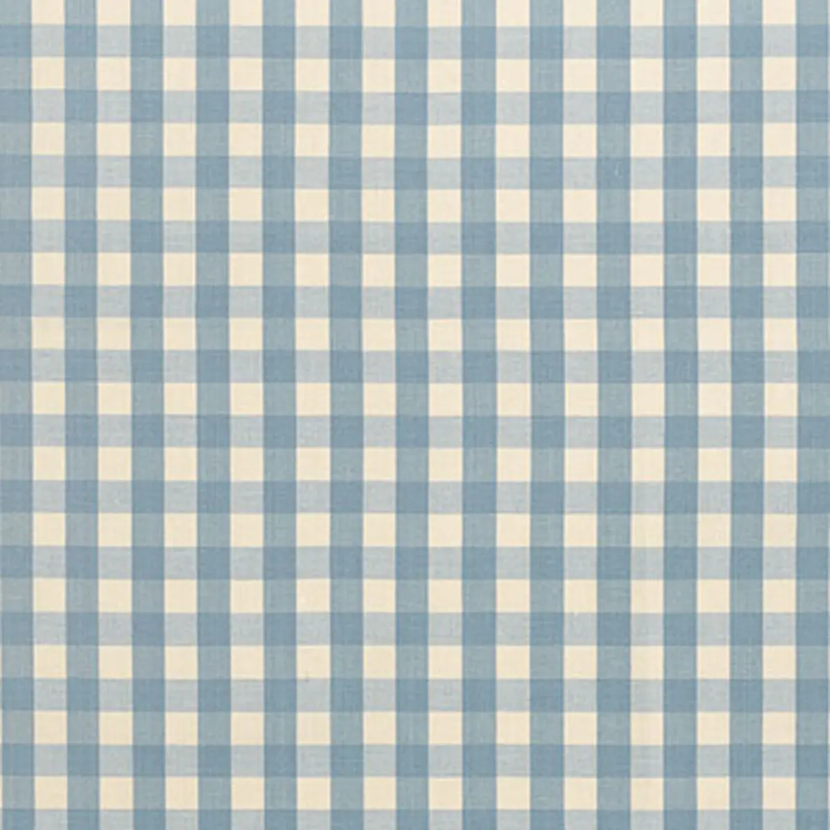 ELTON COTTON CHECK_ CHAMBRAY