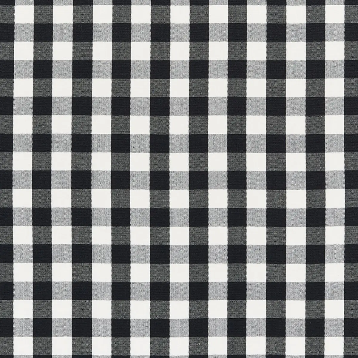 ELTON COTTON CHECK_ BLACK