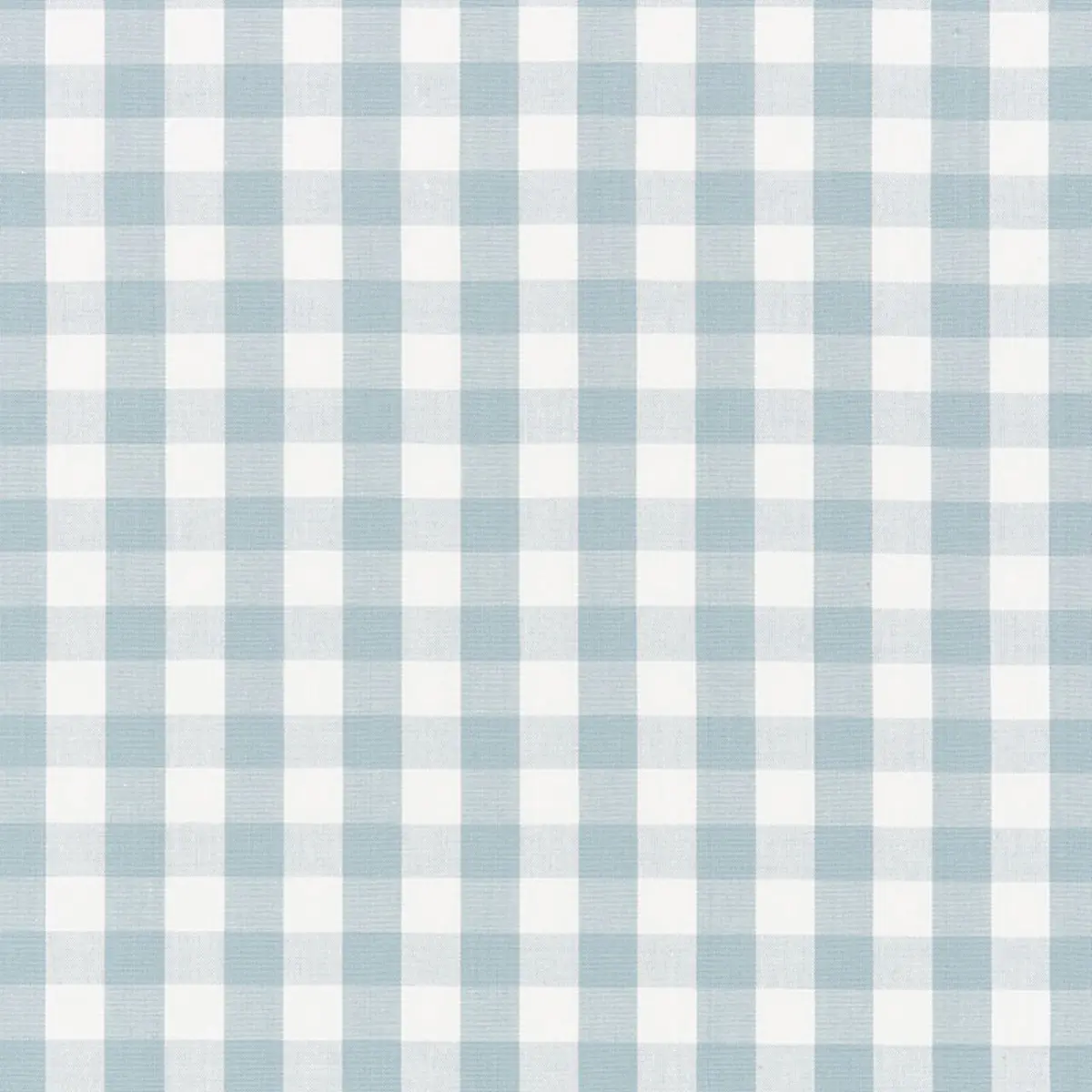ELTON COTTON CHECK_ SKY