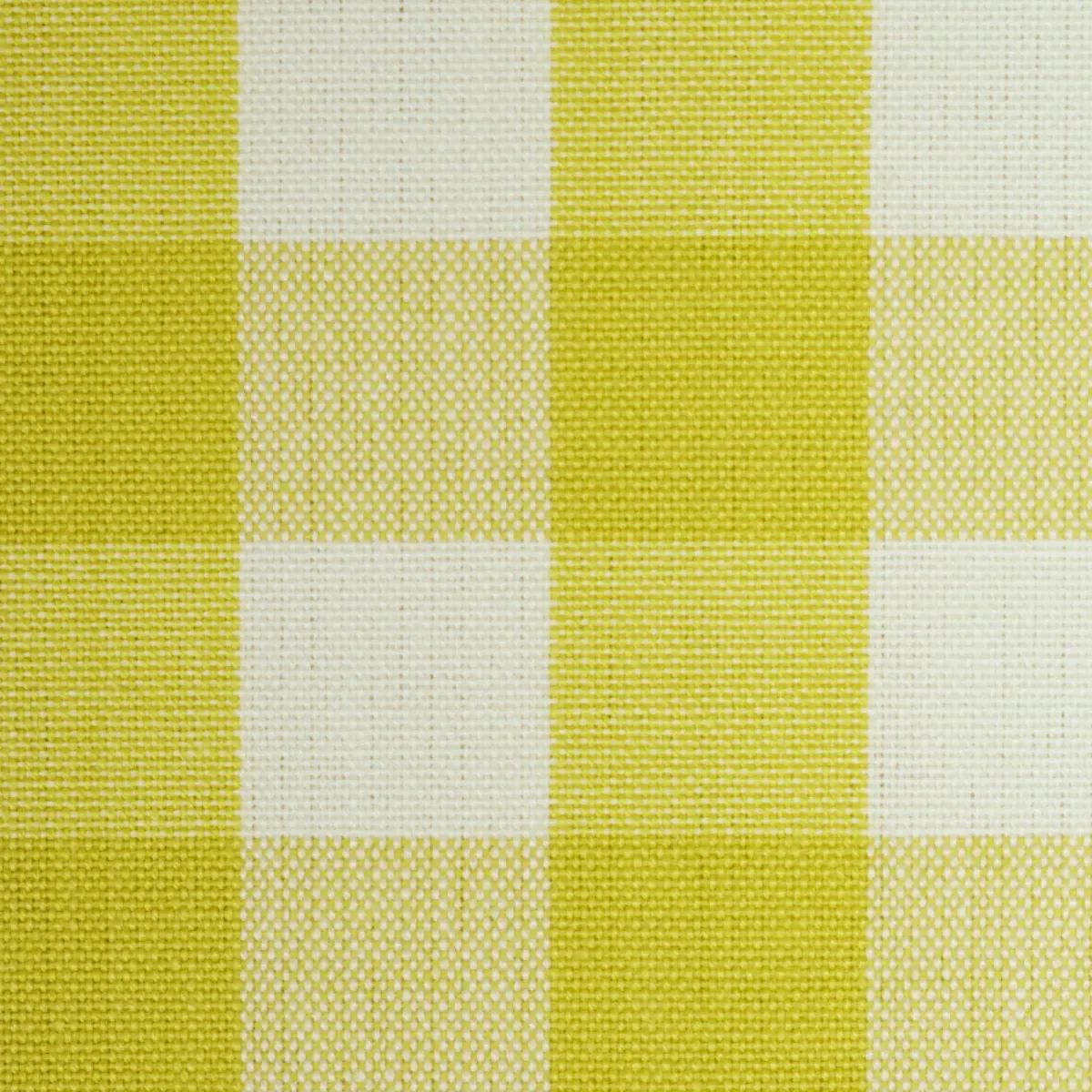 ELTON COTTON CHECK_ YELLOW