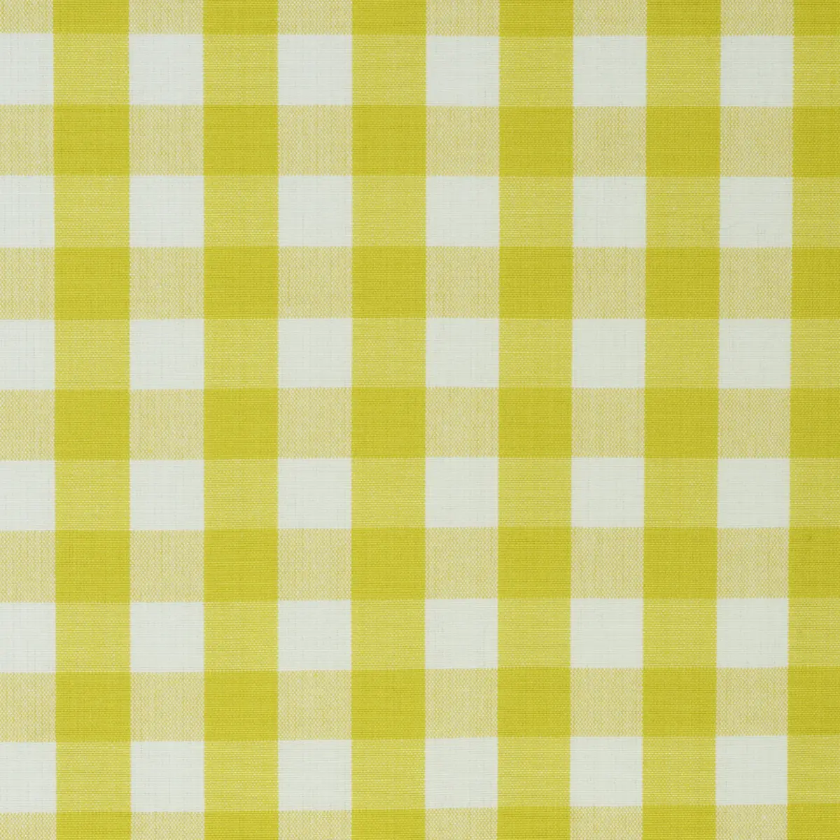 ELTON COTTON CHECK_ YELLOW