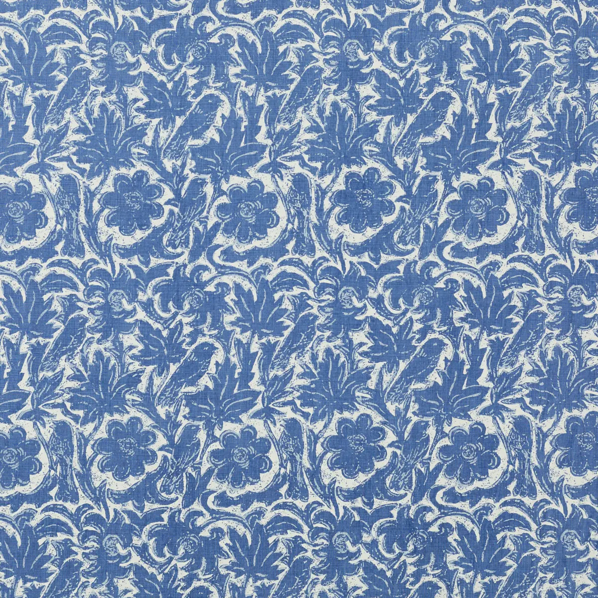 Paloma_ DELFT