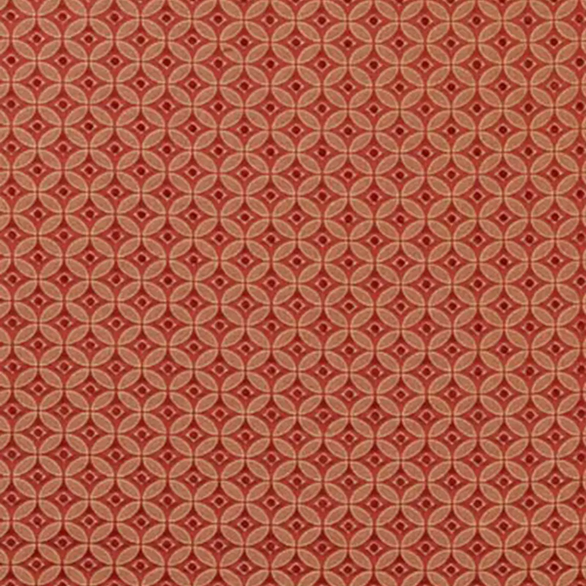 CARA WEAVE_ POPPY