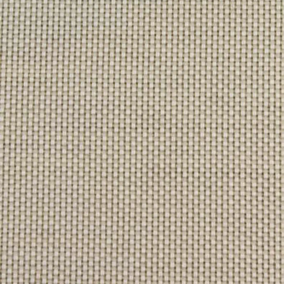 HAGER TEXTURE_ PEARL