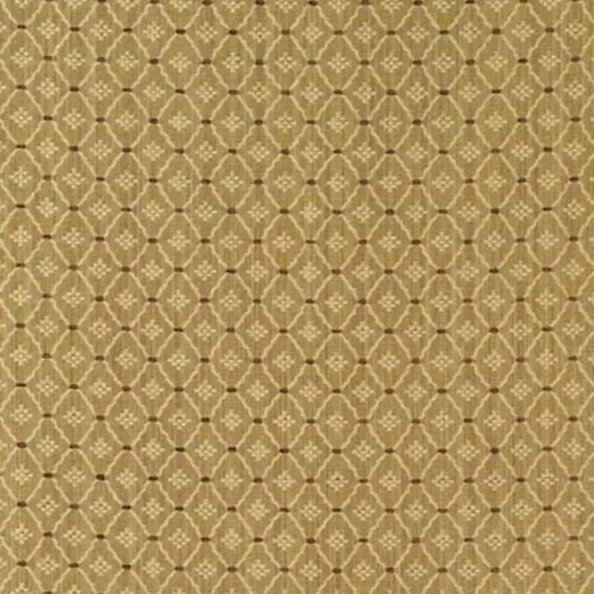 CLIFTON COTTON STRIE_ CAMEL