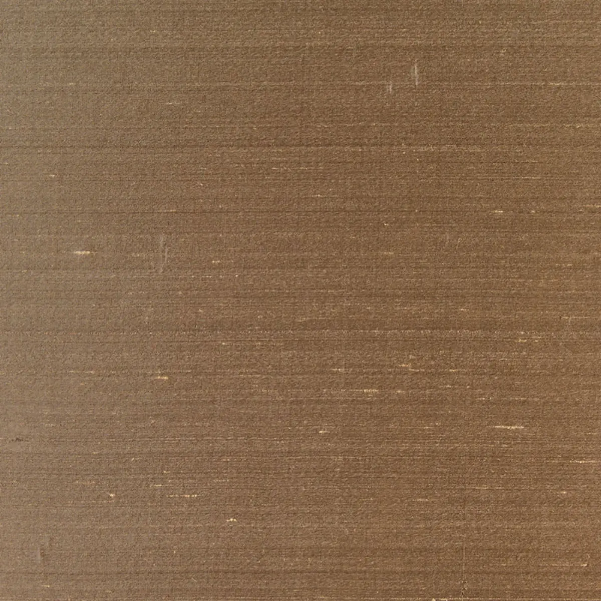BELLINI SILK_ ANTELOPE