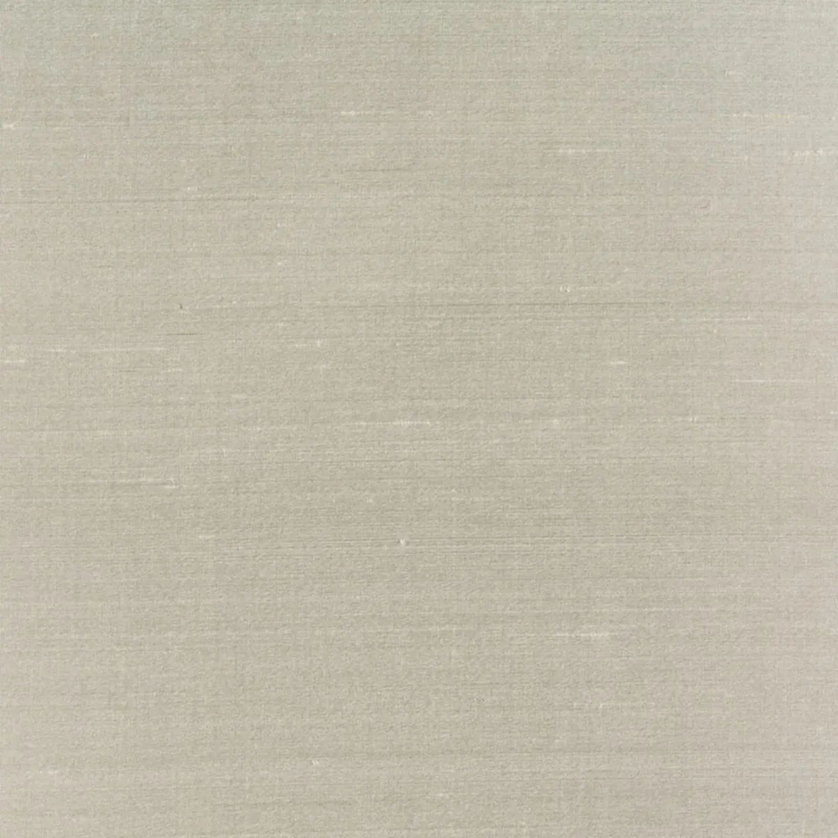 BELLINI SILK_ OYSTER