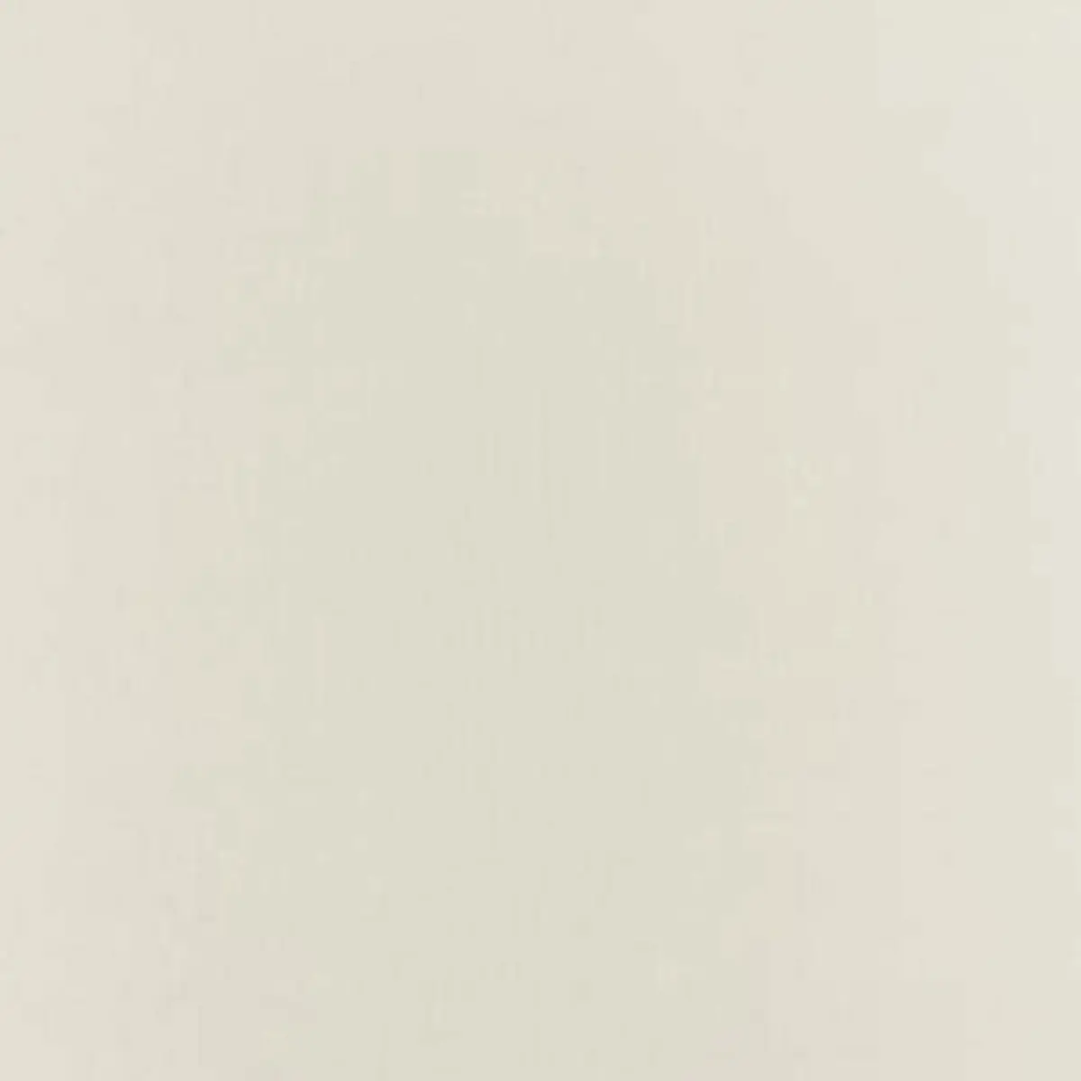 BOTTICELLI SILK TAFFETA_ BONE