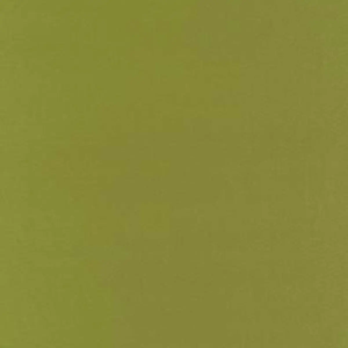 BOTTICELLI SILK TAFFETA_ APPLE