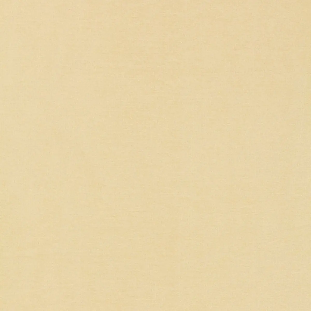 TIEPOLO SHANTUNG WEAVE_ BONE