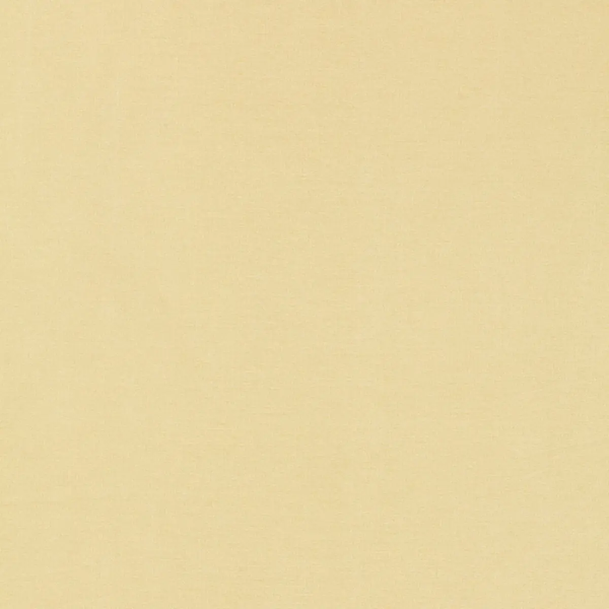 TIEPOLO SHANTUNG WEAVE_ IVORY