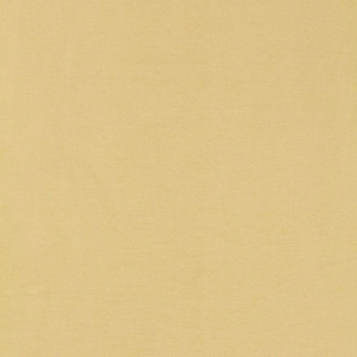 TIEPOLO SHANTUNG WEAVE_ CHAMPAGNE