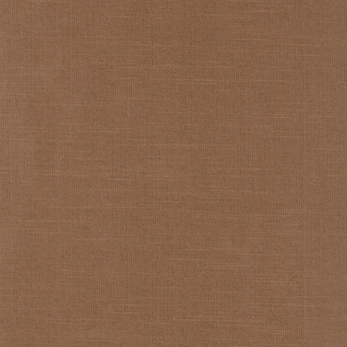 TIEPOLO SHANTUNG WEAVE_ CAPPUCCINO