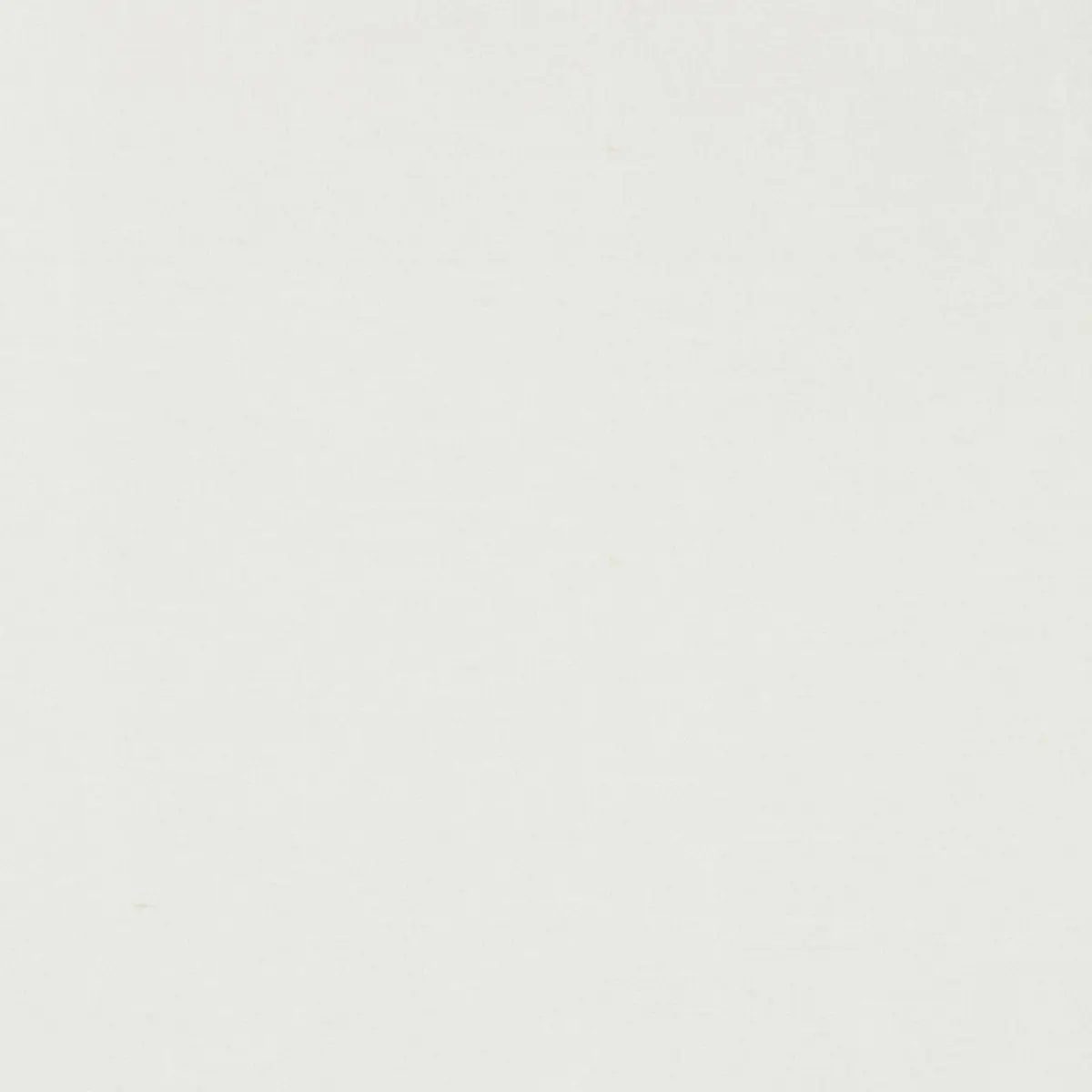 TIEPOLO SHANTUNG WEAVE_ SNOW