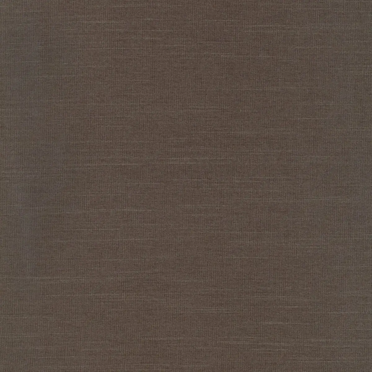 TIEPOLO SHANTUNG WEAVE_ DOVE