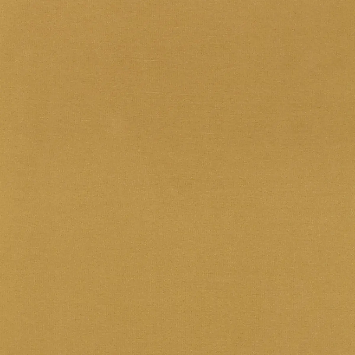 TIEPOLO SHANTUNG WEAVE_ CORNSILK