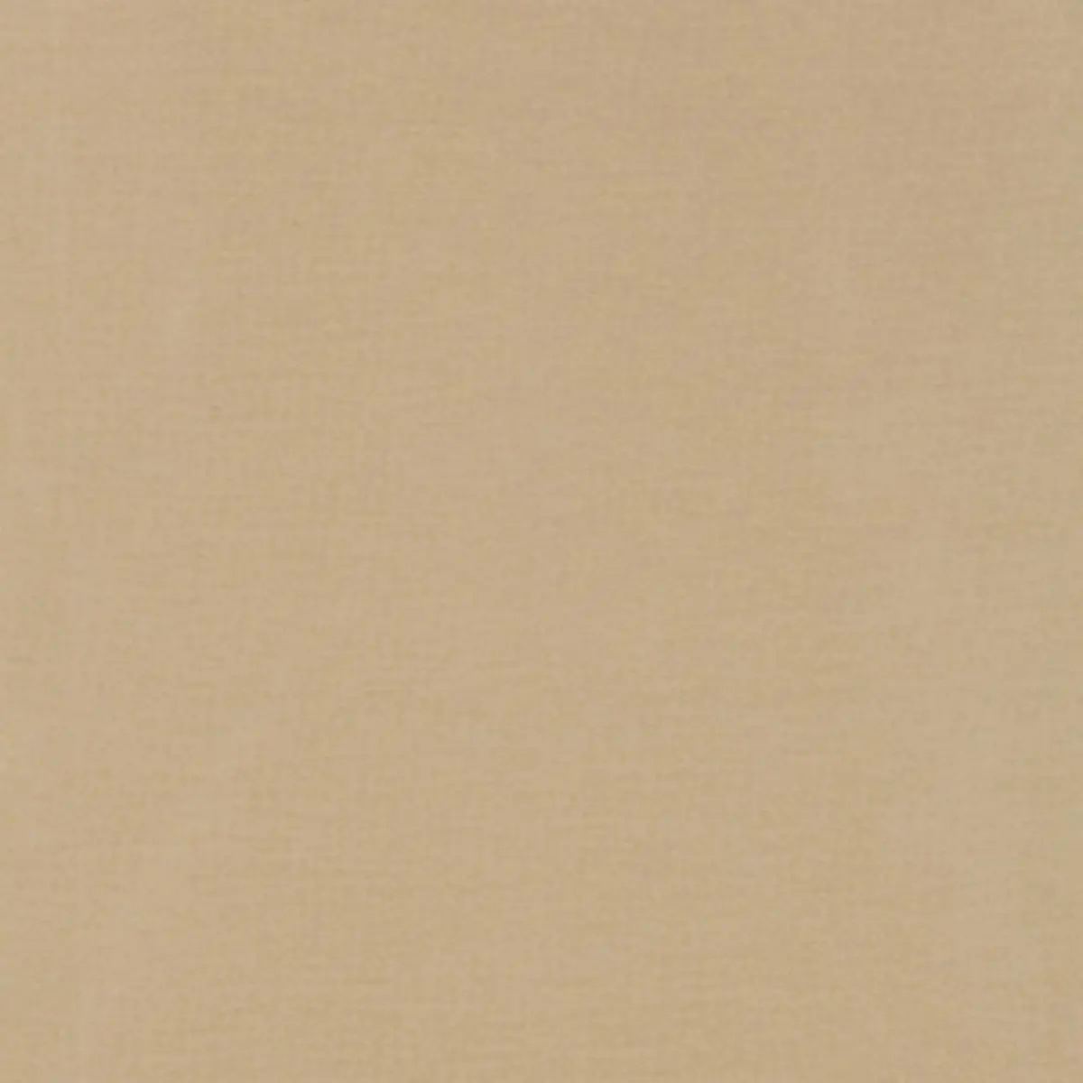 TIEPOLO SHANTUNG WEAVE_ CHAMOMILE