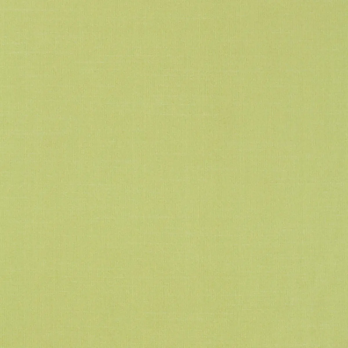 TIEPOLO SHANTUNG WEAVE_ LIMEADE