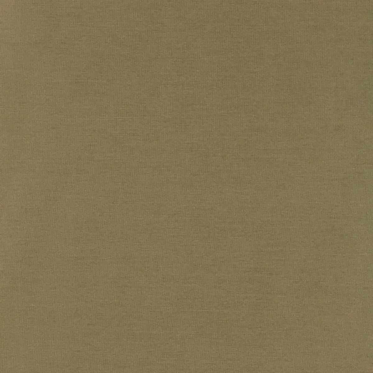 TIEPOLO SHANTUNG WEAVE_ SAGE