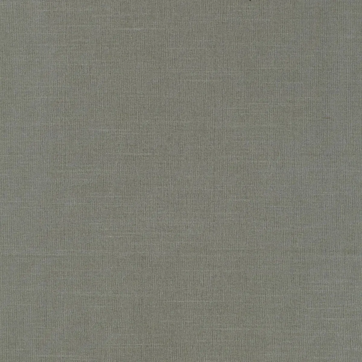 TIEPOLO SHANTUNG WEAVE_ MINERAL