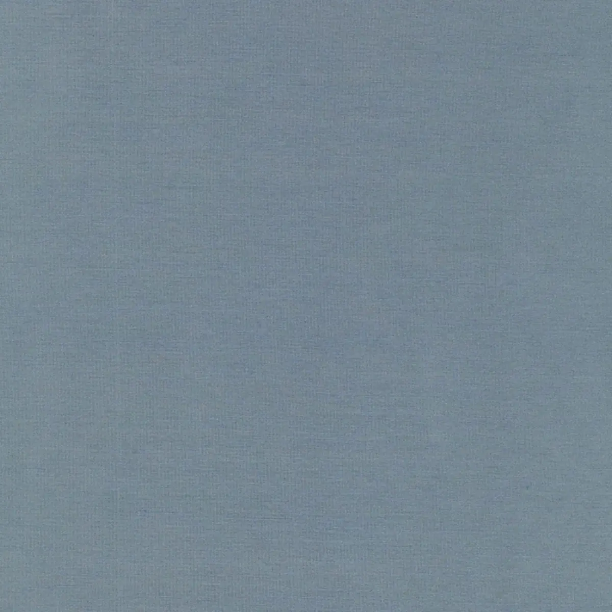 TIEPOLO SHANTUNG WEAVE_ CHINA BLUE