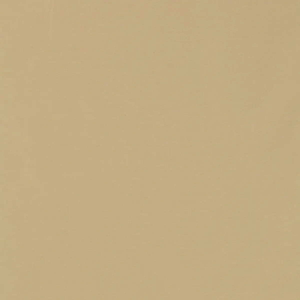 MASACCIO TAFFETA_ PUTTY