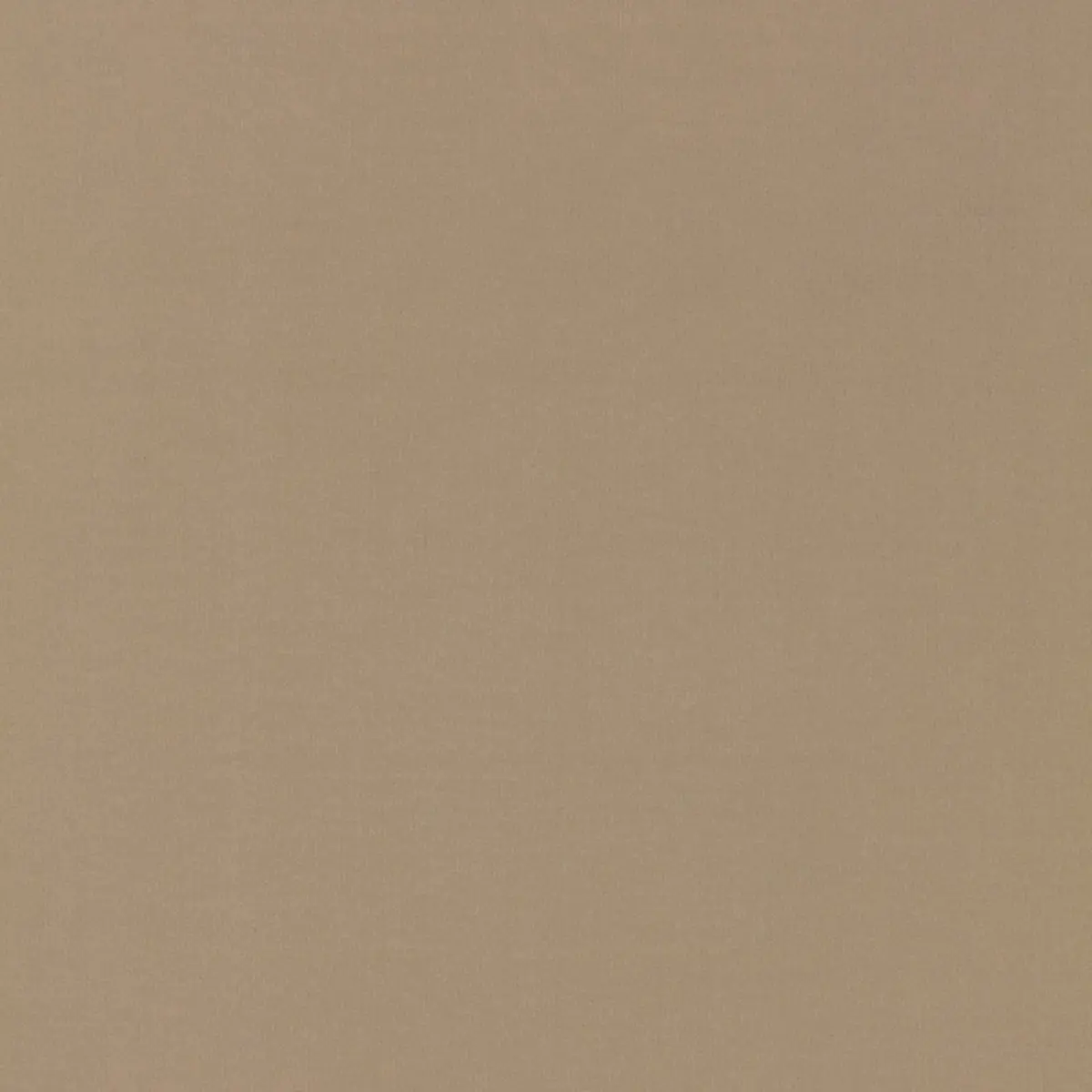 MASACCIO TAFFETA_ FAWN