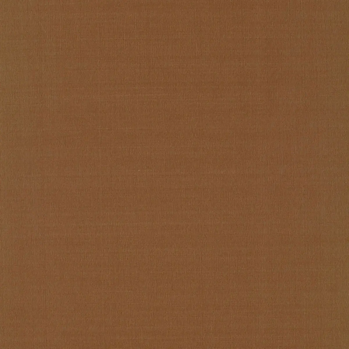 MASACCIO TAFFETA_ ANTELOPE