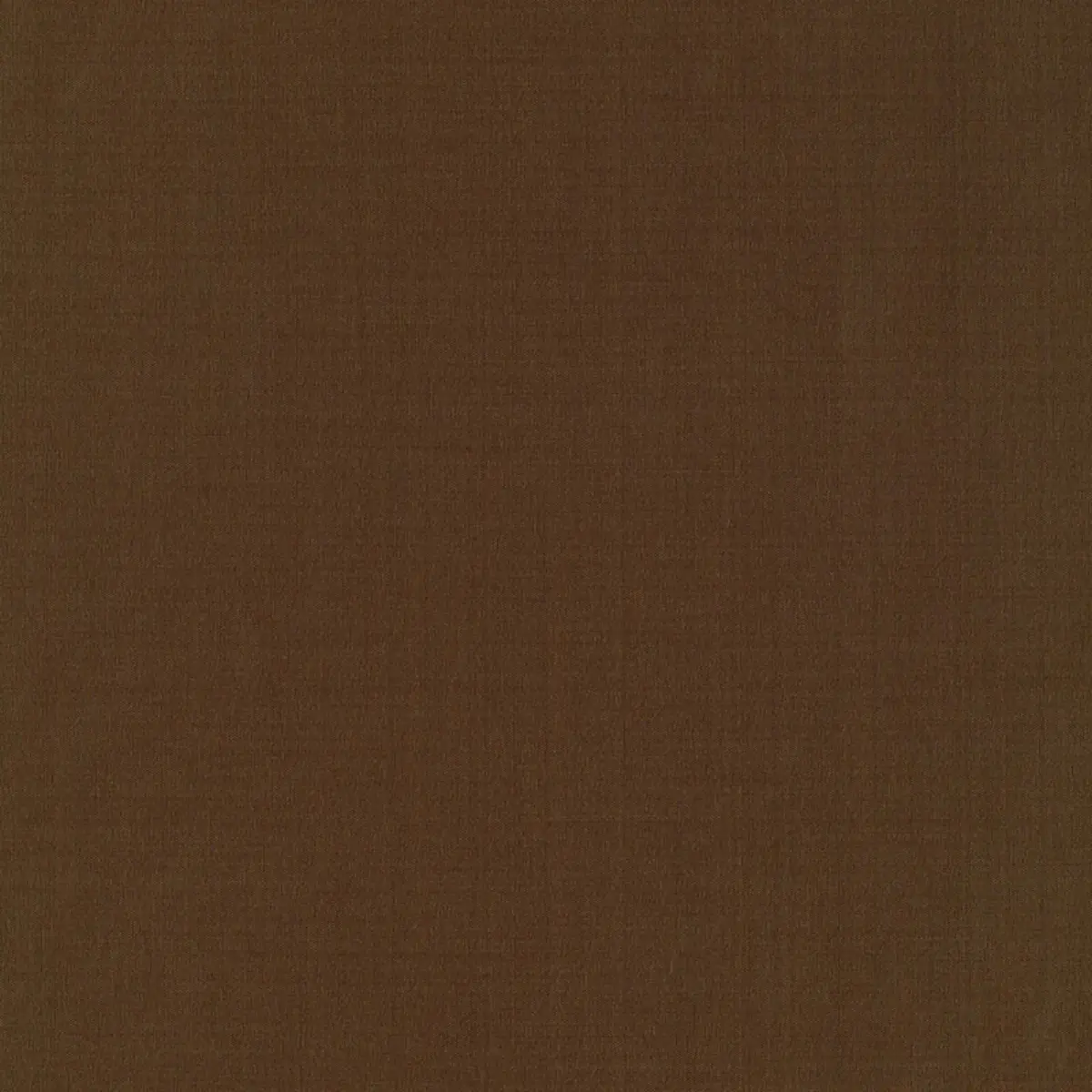 MASACCIO TAFFETA_ MINK