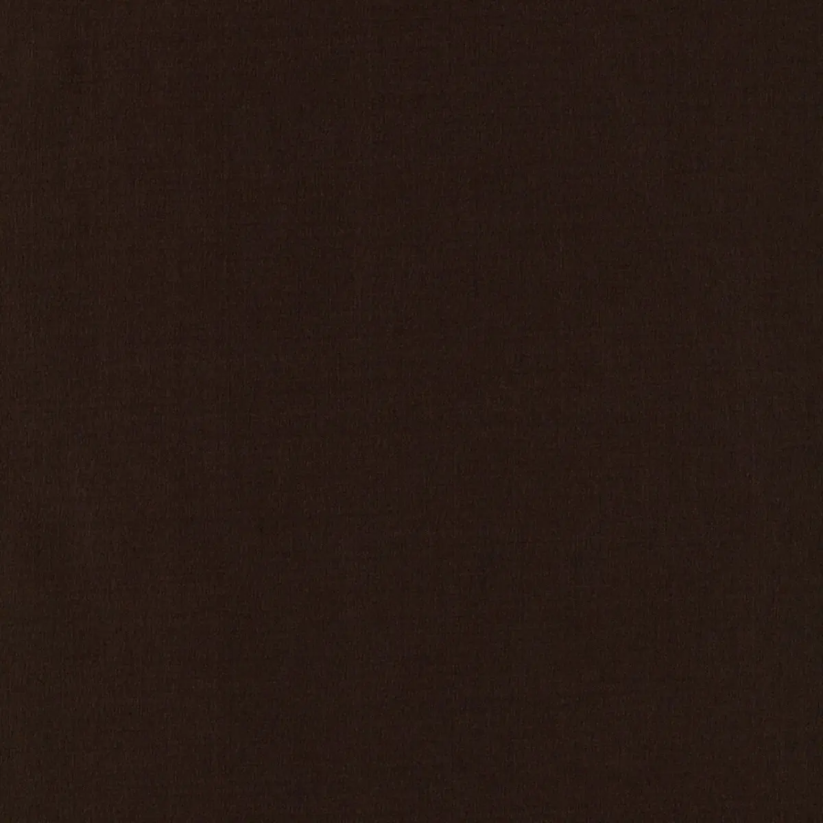 MASACCIO TAFFETA_ CHOCOLATE