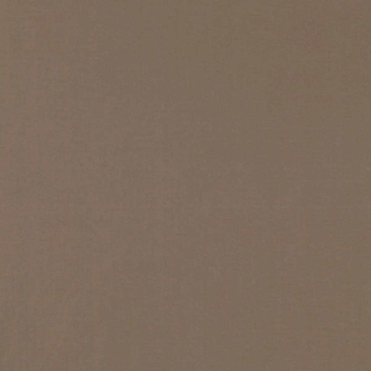MASACCIO TAFFETA_ MOONSTONE