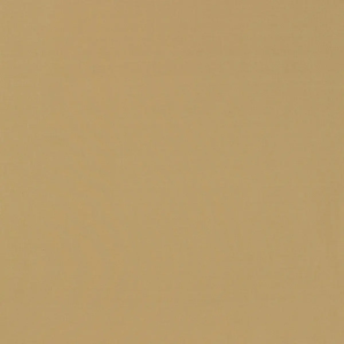 MASACCIO TAFFETA_ CHAMOIS
