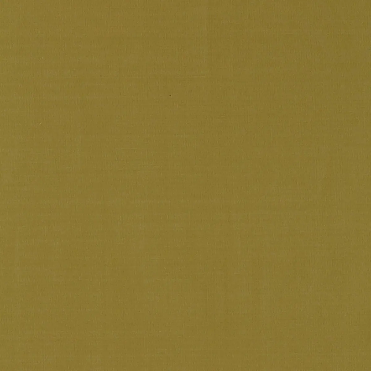 MASACCIO TAFFETA_ LICHEN