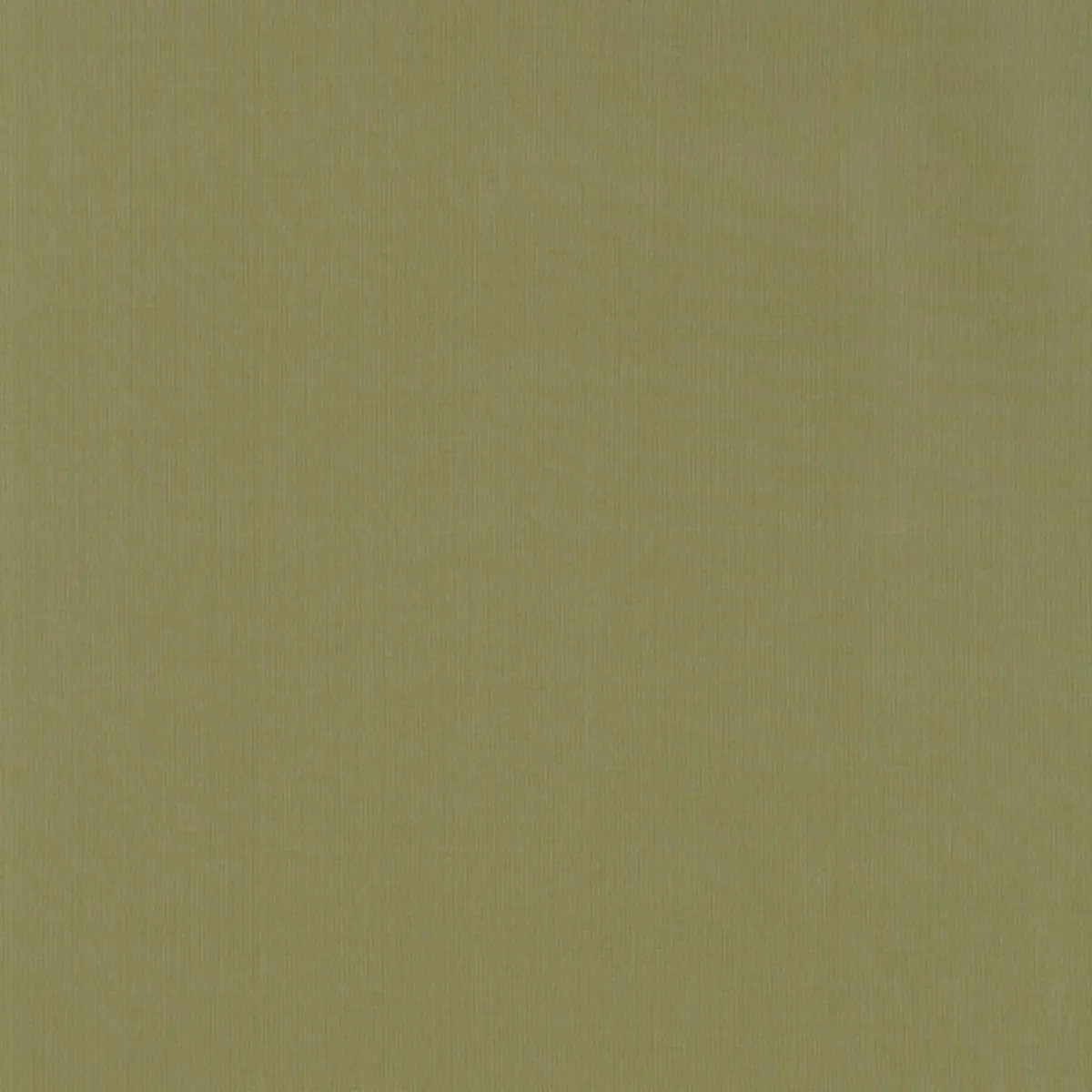 MASACCIO TAFFETA_ HERB