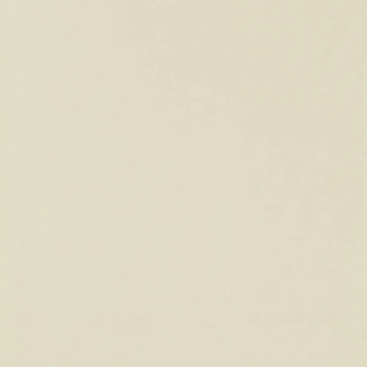 MASACCIO TAFFETA_ POWDER