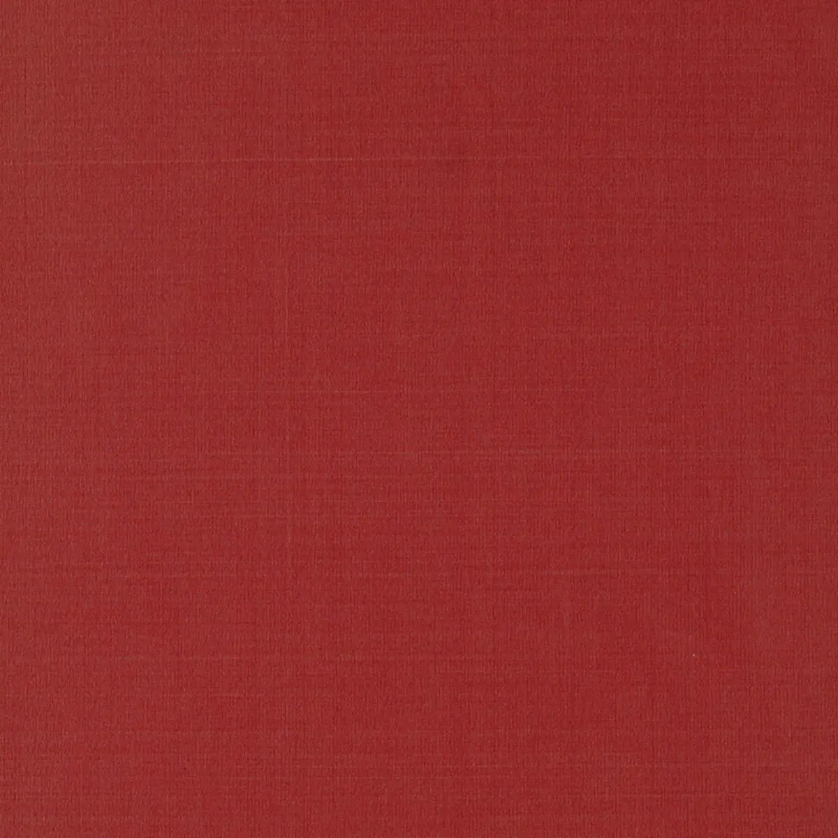 MASACCIO TAFFETA_ TOMATO