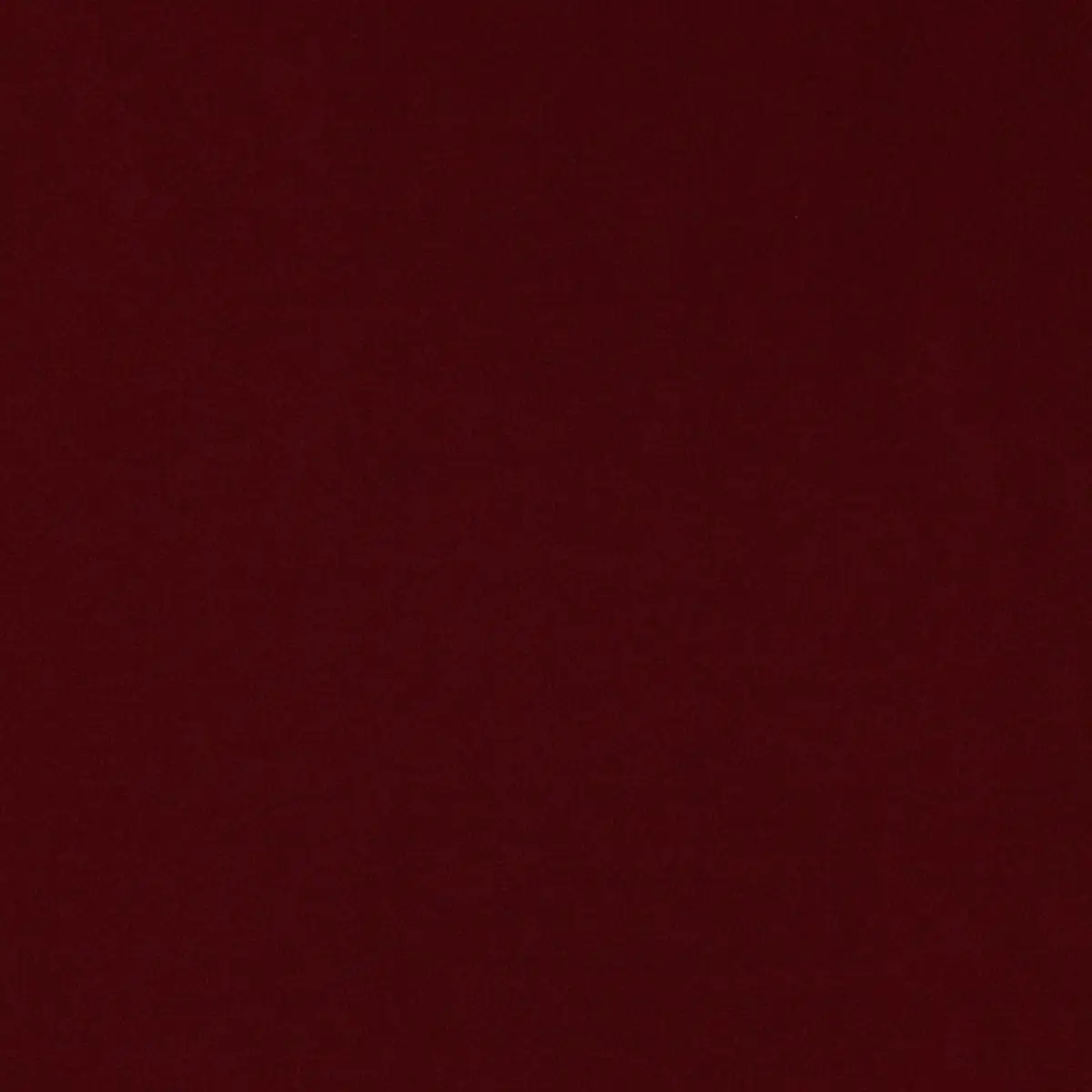 MASACCIO TAFFETA_ CLARET