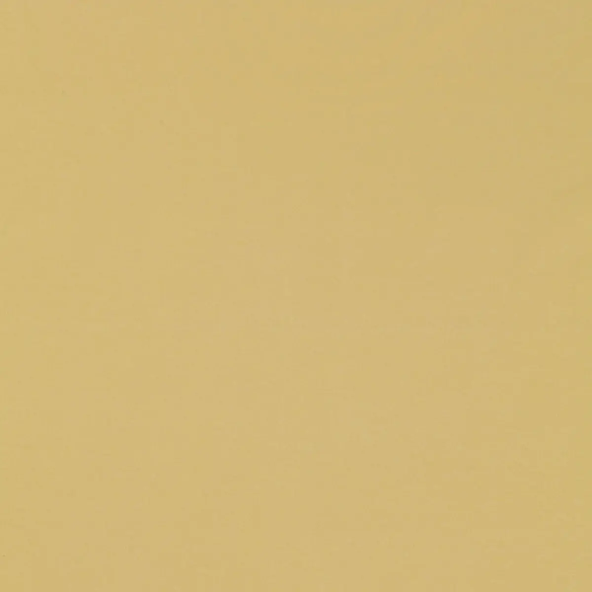MASACCIO TAFFETA_ JONQUIL